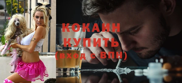 спиды Богородск