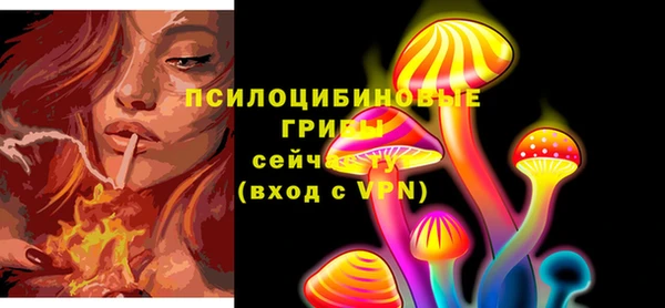 спиды Богородск