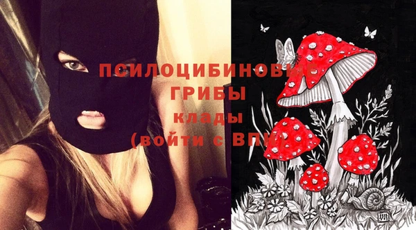 MDMA Богданович