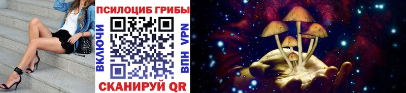 Псилоцибиновые грибы GOLDEN TEACHER Ачхой-Мартан